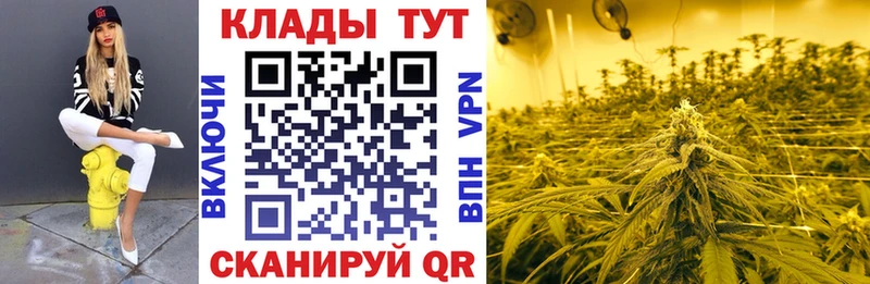 Продажа наркотиков Плавск А ПВП  Меф  Гашиш  Канабис  Псилоцибиновые грибы  Кокаин 
