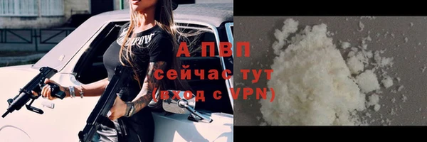 СК Абинск